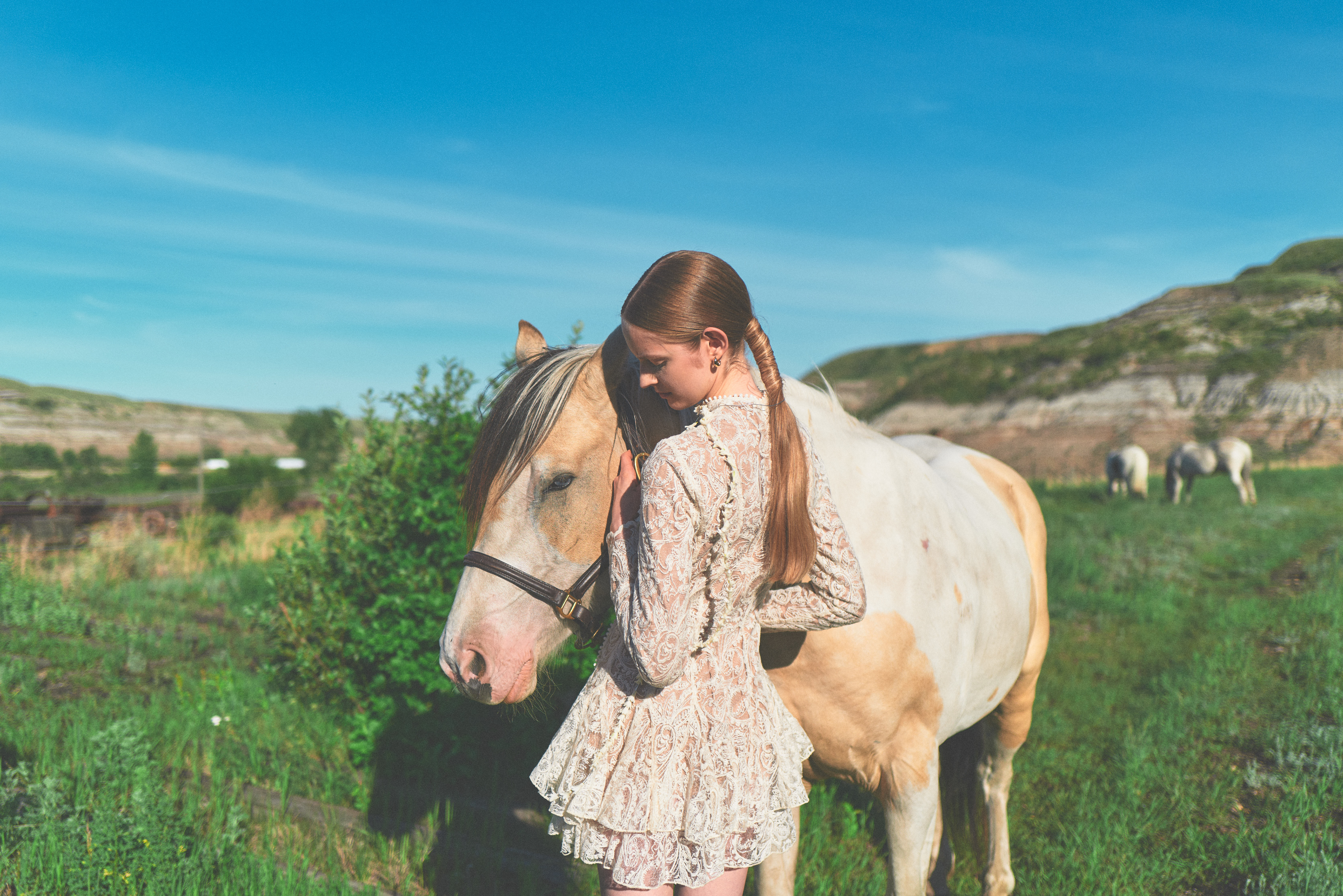 Young woman with palomino horse in the Alberta badlands, herd grazing behind