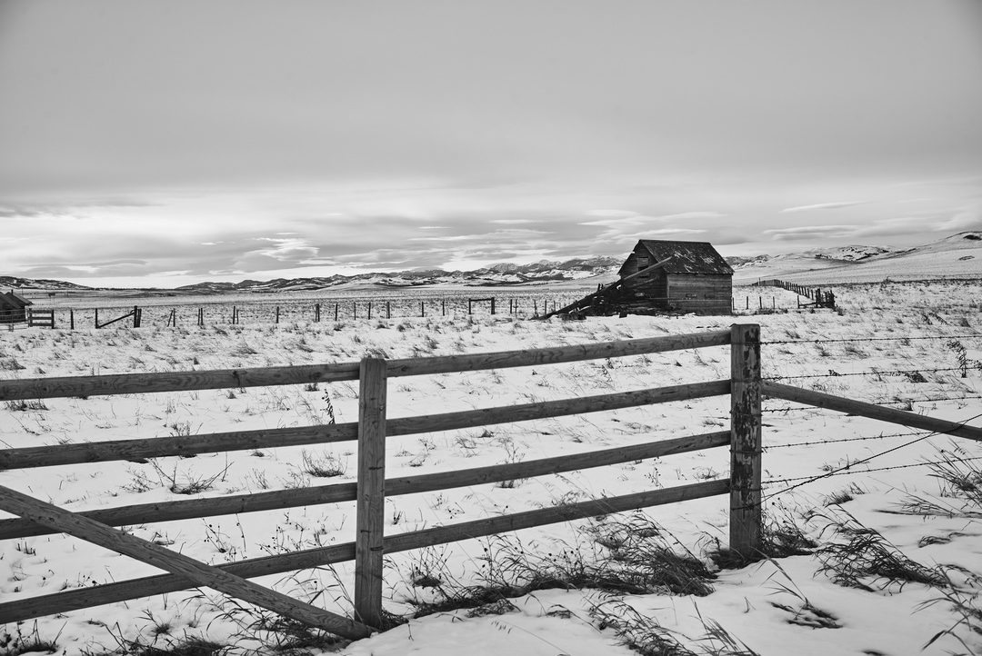 Abandoned barn behind wooden fence on snowy Alberta prairie, black and white